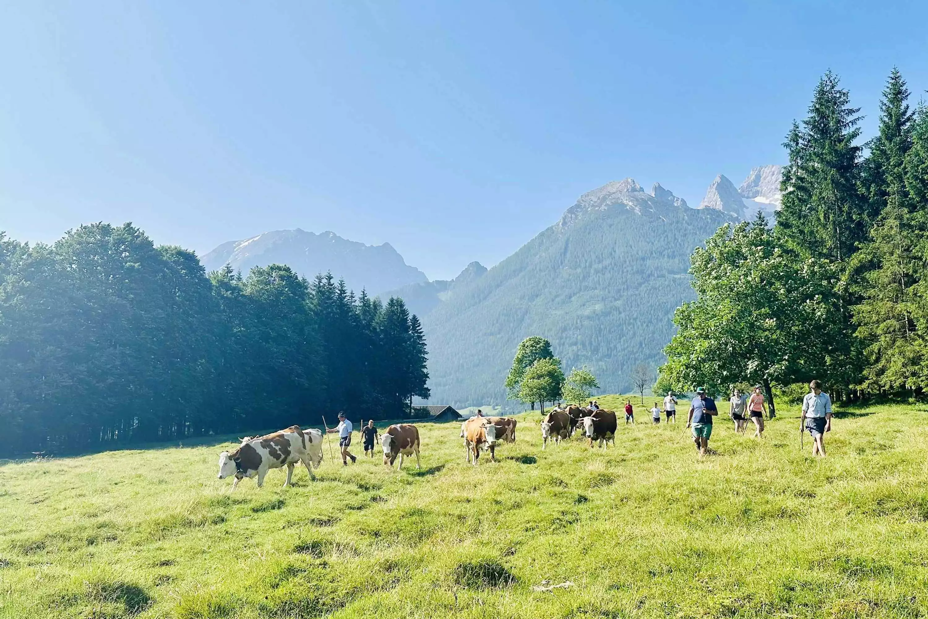 Mordaualm Gschoßkaser