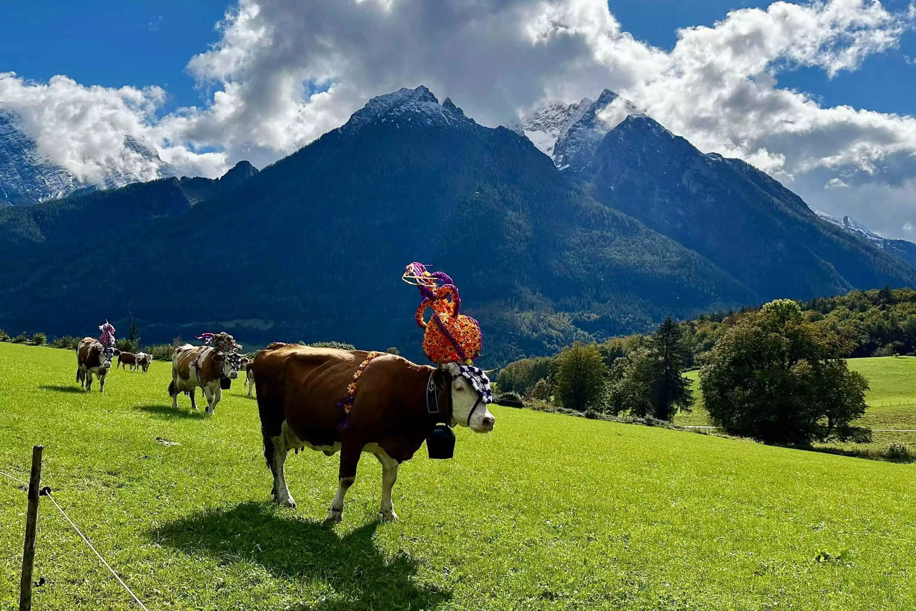 Bergpanorama und Naturidylle auf der Mordaualm nahe Watzmann-Massiv im Lattengebirge