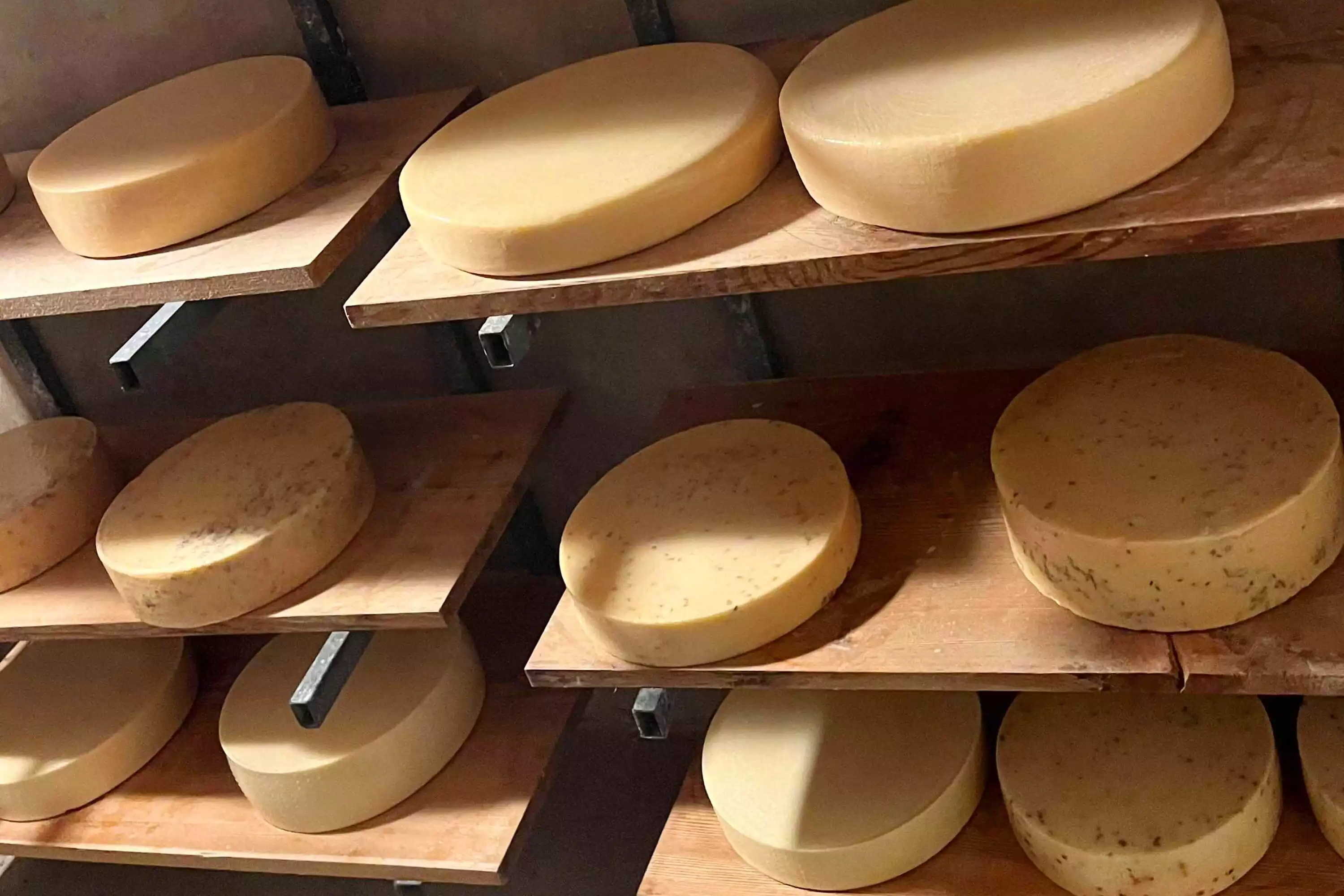Spezialität aus Bayern Bio-Almkäse aus eigener Herstellung aus bester Bio-Almmilch