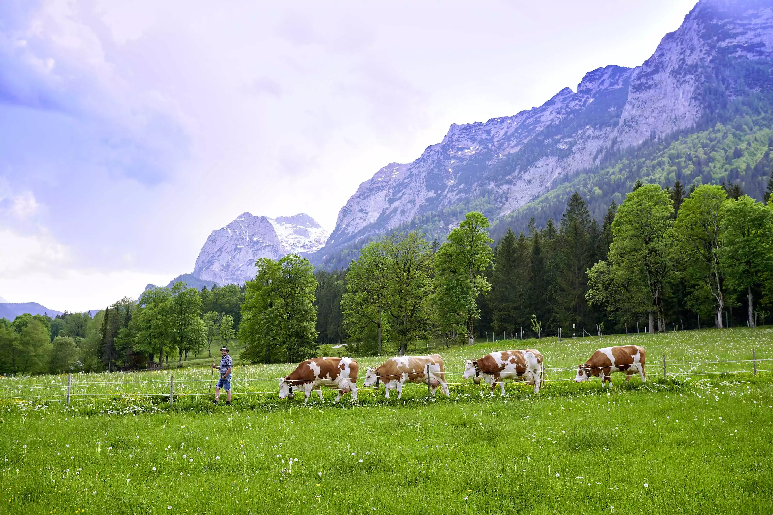 Berchtesgadener Land Biosphären Region Erhalt der Kulturlandschaft