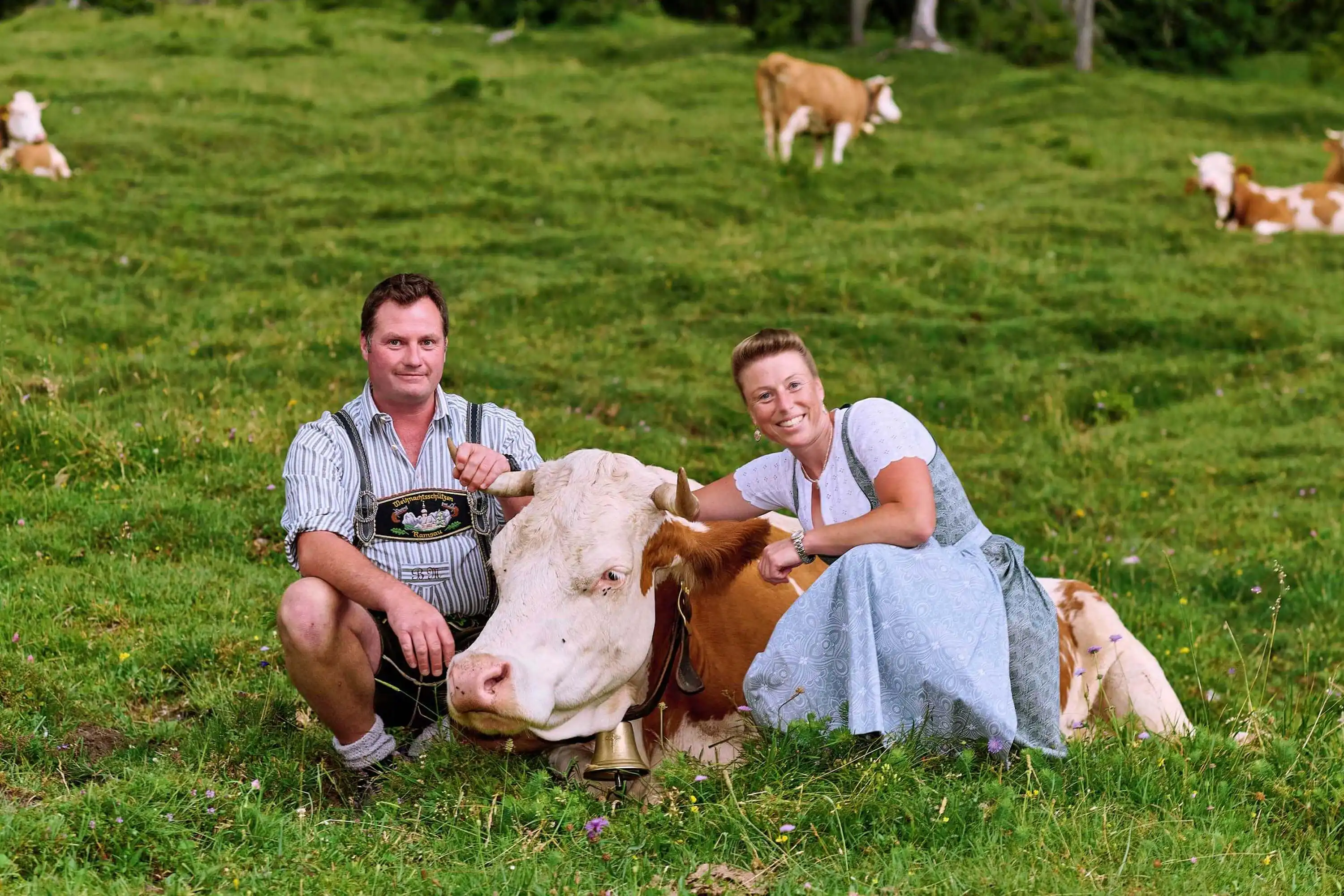 Bio-Almmilch Herstellung von Bio-Käse auf der Mordaualm im Gschoßkaser Oberbayern