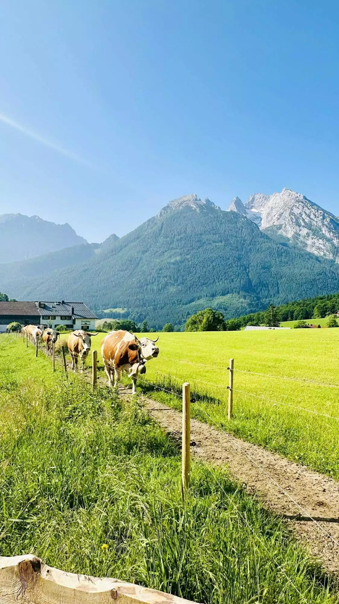 Berg und Tal Allgäu Lofts