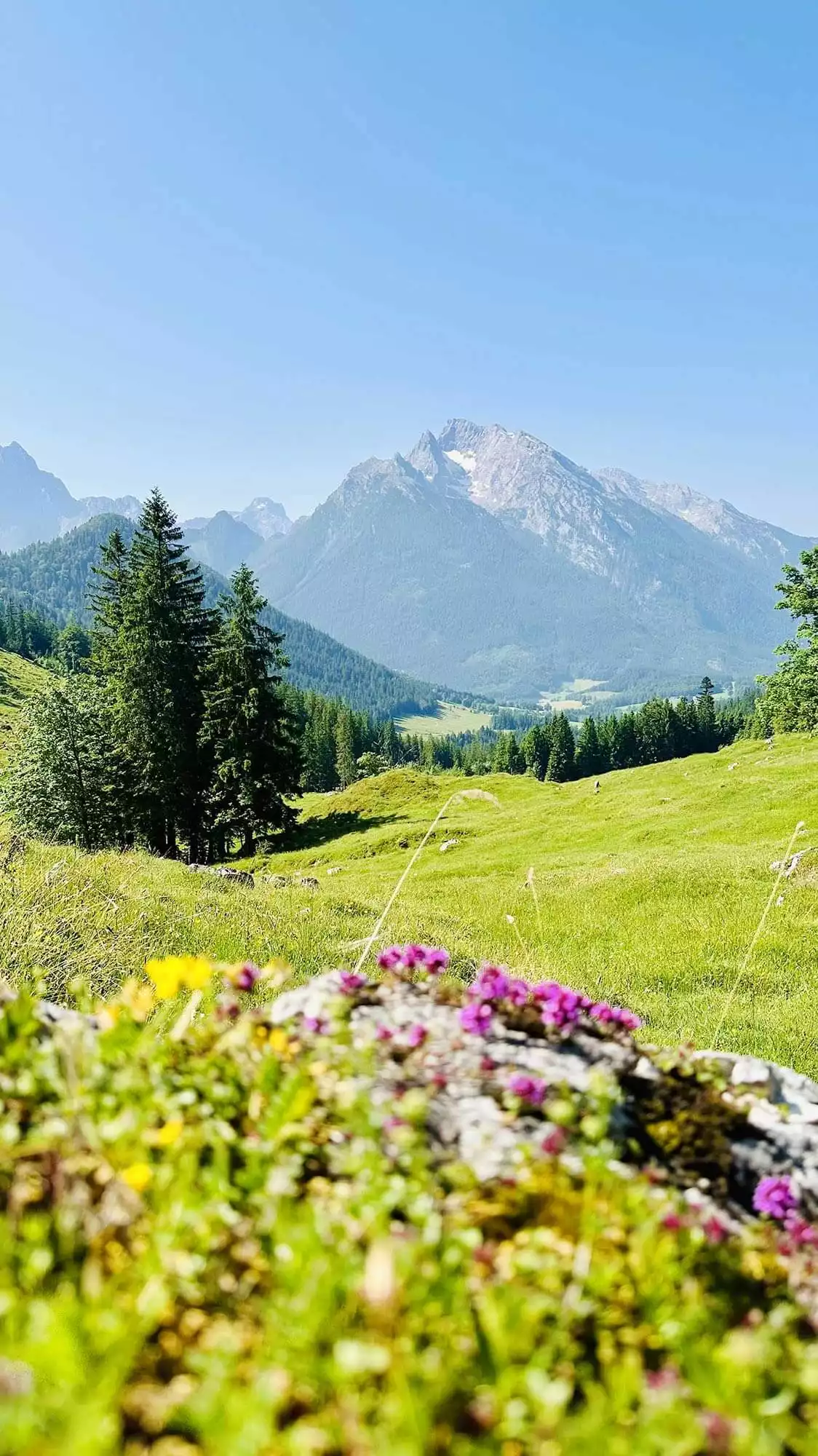 Berg und Tal Allgäu Lofts