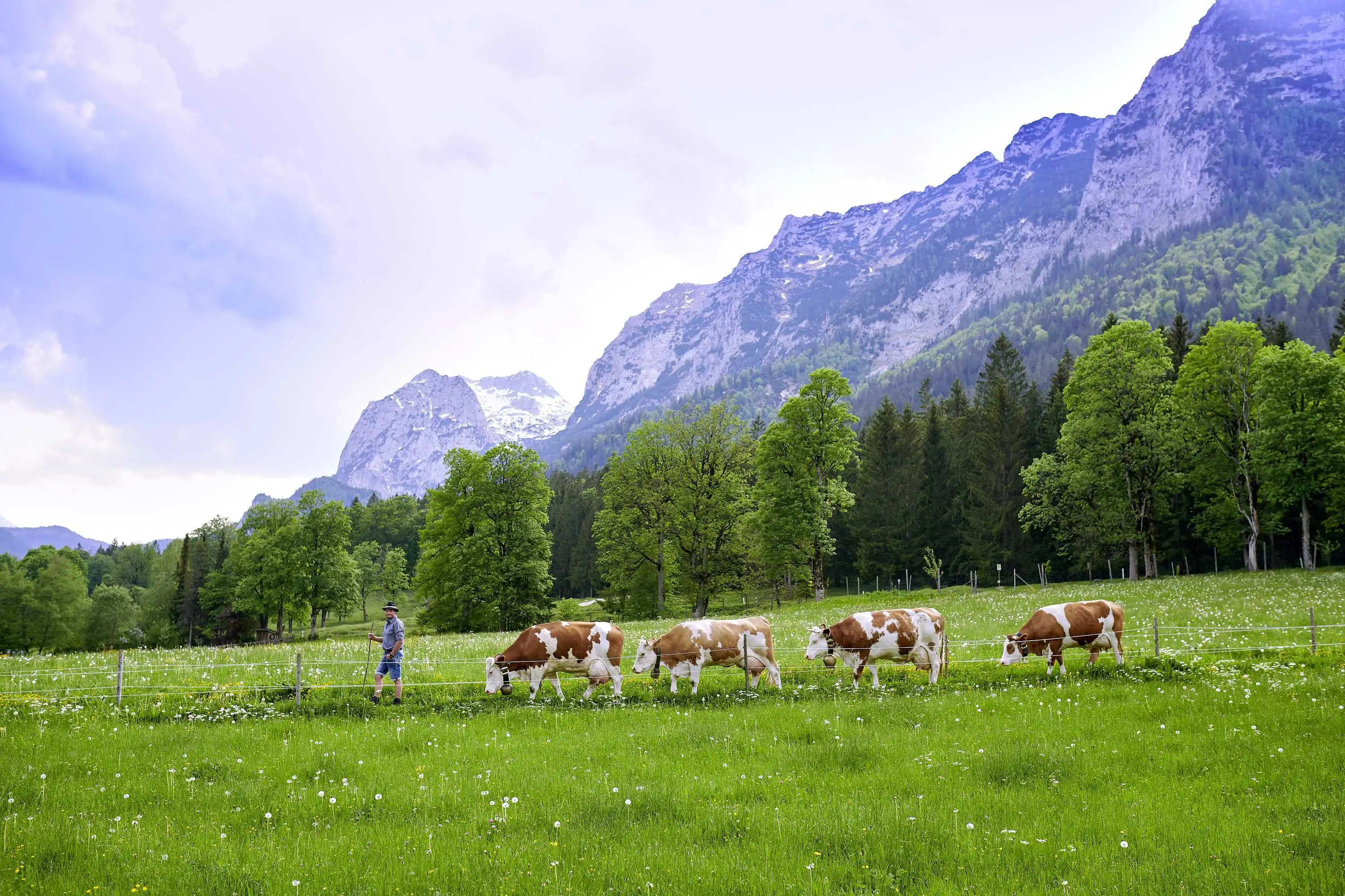 Berg und Tal Allgäu Lofts