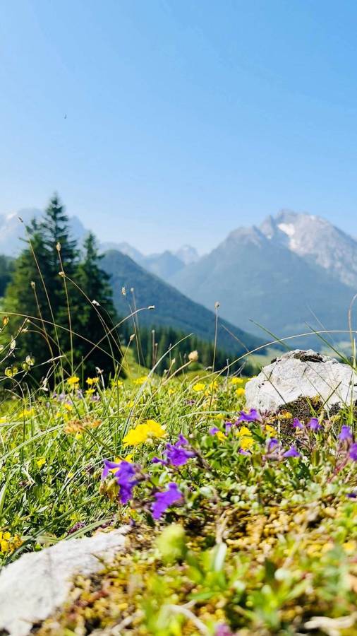 Blick zum Watzmann Massiv im Nationalpark Berchtesgaden Bayern