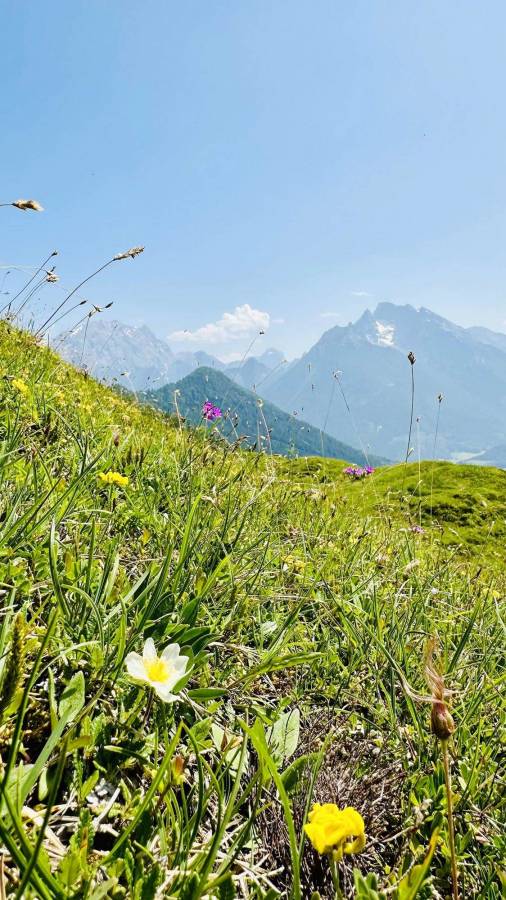 Blick zum Watzmann Massiv im Nationalpark Berchtesgaden Bayern