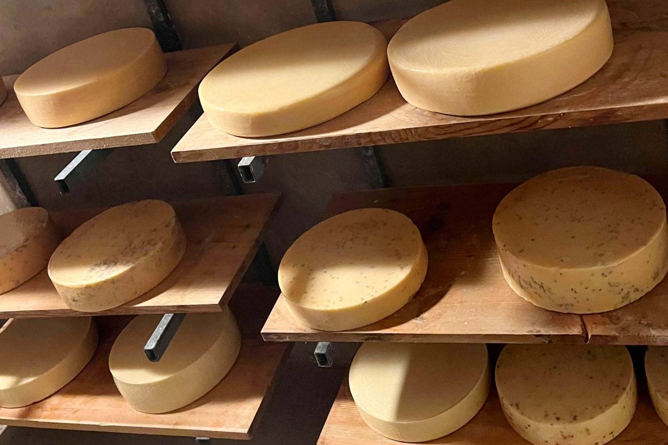 Käsereife mit Ruhe und Geduld für beste Käse-Qualität und aromatisch würzigen Geschmack